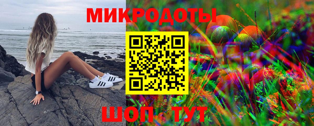 Псилоцибиновые грибы Cubensis Полысаево