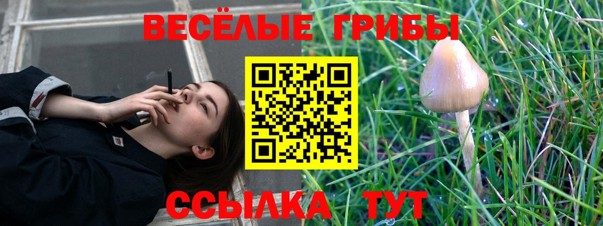 Полысаево  Галлюциногенные грибы прущие грибы  Вход с VPN 