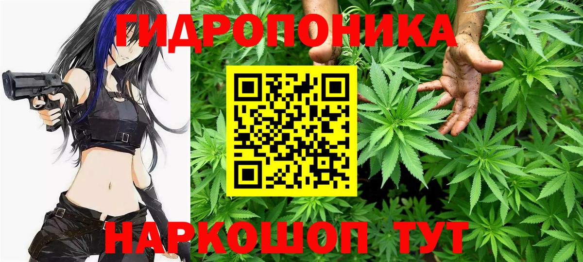 Конопля марихуана Полысаево